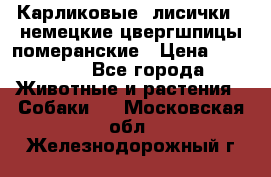 Карликовые “лисички“  немецкие цвергшпицы/померанские › Цена ­ 35 000 - Все города Животные и растения » Собаки   . Московская обл.,Железнодорожный г.